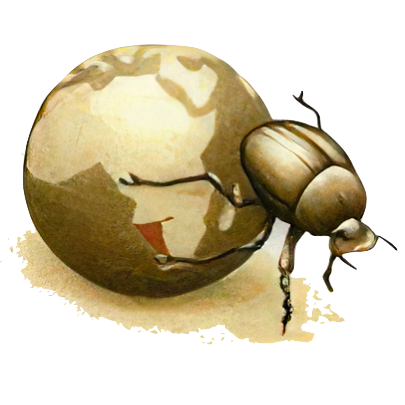 EAPAN Beetle logo